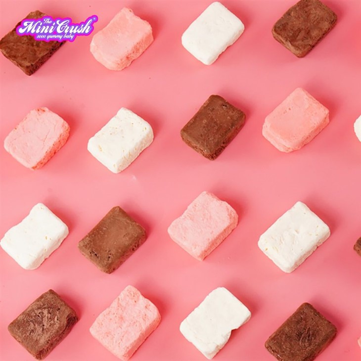 Freeze-Dried Vanilla Ice Cream factory